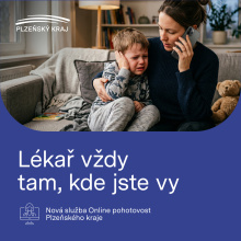 Plzeňský kraj spustil online pohotovost