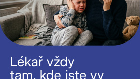 Plzeňský kraj spustil online pohotovost