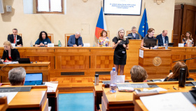 Přesun lidskoprávních agend na ministerstva vyvolává obavy, zaznělo na veřejném slyšení Senátu