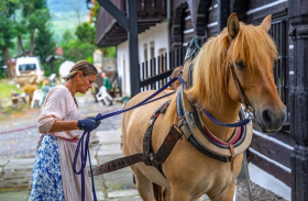 Dny lidové architektury v Libereckém kraji přilákaly tisíce návštěvníků Kliknutím zvětšíte obrázek