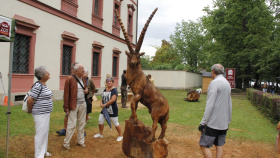 Dnes a zítra se před Zoo Hluboká koná dřevosochařské sympozium