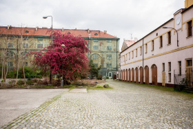 Praha zahajuje přípravu rekonstrukce Kasáren Karlín. Historický areál získá nové využití pro veřejnost Kliknutím zvětšíte obrázek