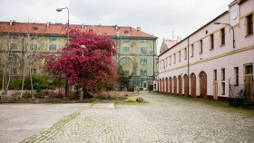 Praha zahajuje přípravu rekonstrukce Kasáren Karlín. Historický areál získá nové využití pro veřejnost