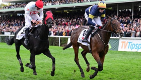 Vítězem letošní Velké pardubické se stal irský kůň Final Orders. Do cíle ho dovedl žokej Donoghue
