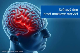 Kliknutím zvětšíte obrázek