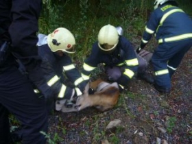 Kliknutím zvětšíte obrázek