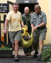 Kliknutím zvětšíte obrázek