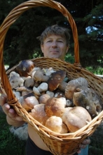 Kliknutím zvětšíte obrázek