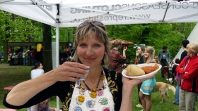 Doprovodný obrázek