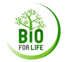 Kliknutím zvětšíte obrázek