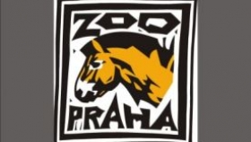 Ikona Ikona