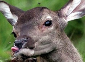 Kliknutím zvětšíte obrázek